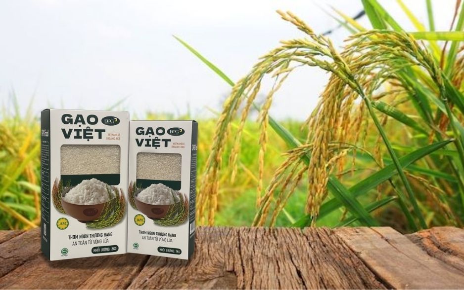 Chọn gạo ngon đúng cách để cơm luôn dẻo, thơm và đậm vị