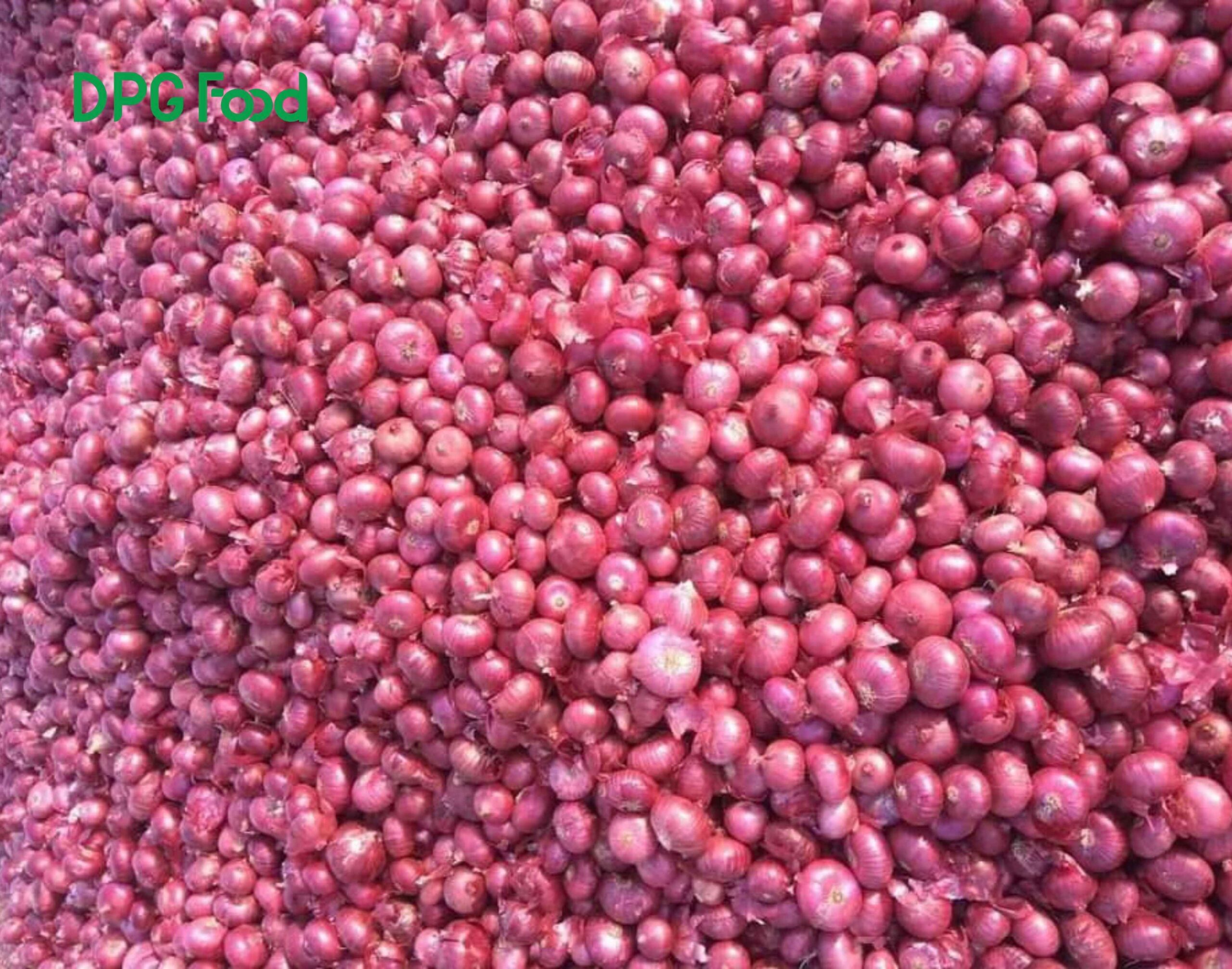 Hành tím Ấn Độ nhập khẩu số lượng lớn, giá sỉ cạnh tranh