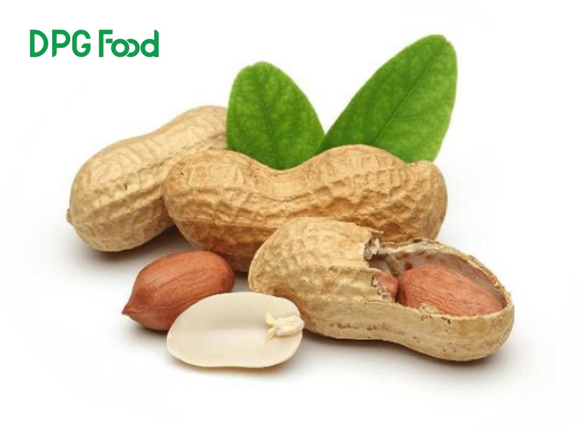 đậu phộng bold 50/60 nhập khẩu từ Ấn Độ