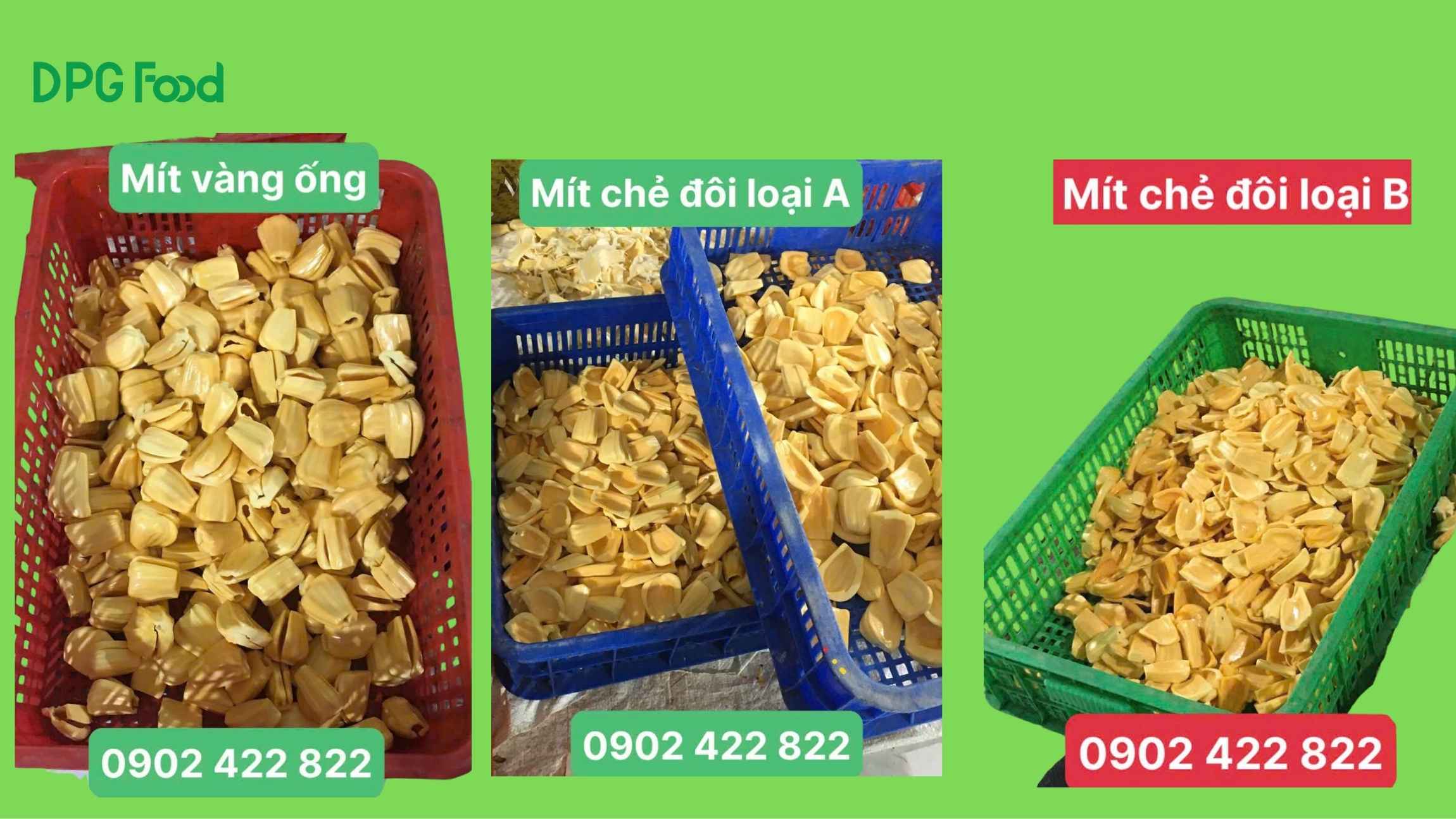 Phân loại múi mít trước khi sấy: mít xẻ ống, mít loại A, mít loại B