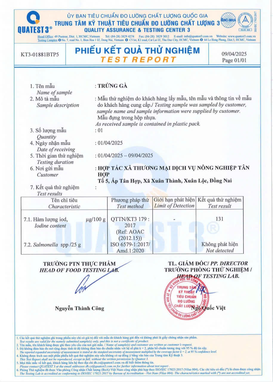 ស៊ុតមាន់អ៊ីយ៉ូត Tân Hợp: អាថ៌កំបាំងនៃការបន្ថែមអ៊ីយ៉ូតប្រកបដោយនិរន្តរភាព កសាងបញ្ញា និងសុខភាពជាតិវៀតណាម 2025