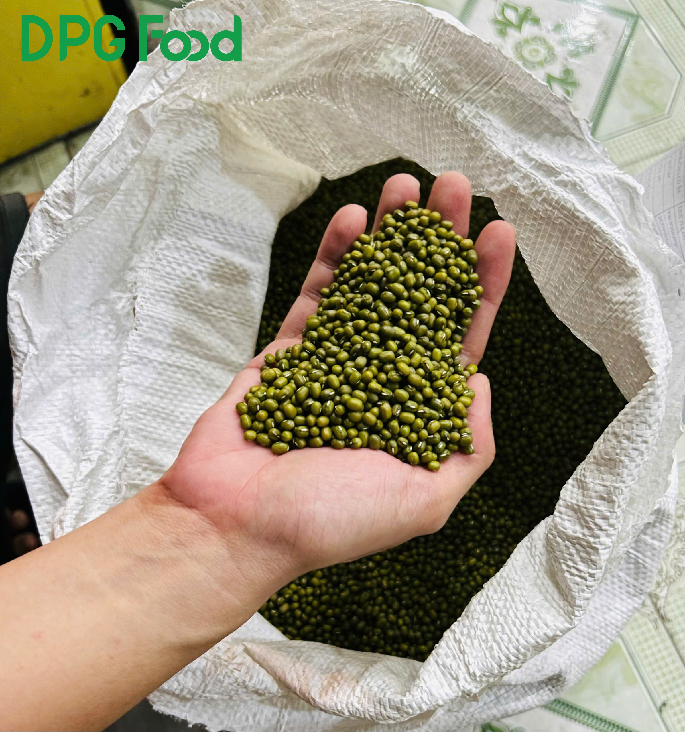 Đậu Xanh Myanmar Size 3.5–4mm Giá Sỉ | Mua 10 Tặng 1 Tại TP.HCM