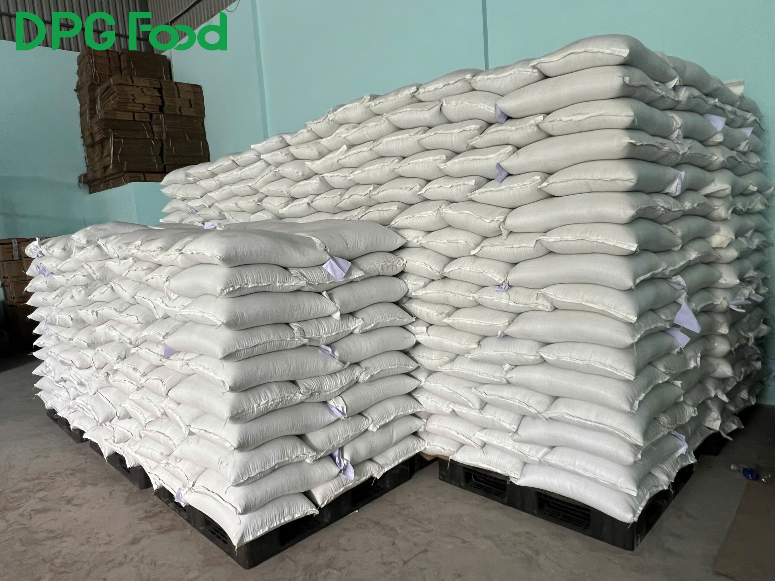 Đậu Xanh Myanmar Size 3.5–4mm Giá Sỉ | Mua 10 Tặng 1 Tại TP.HCM